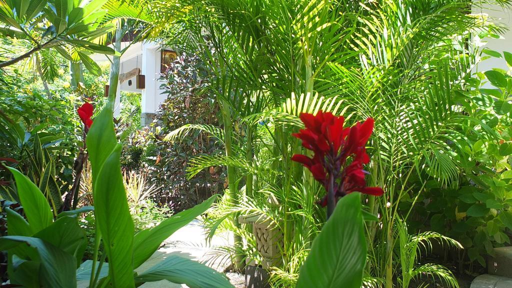 Ricel Homestay Gili Trawangan Kültér fotó