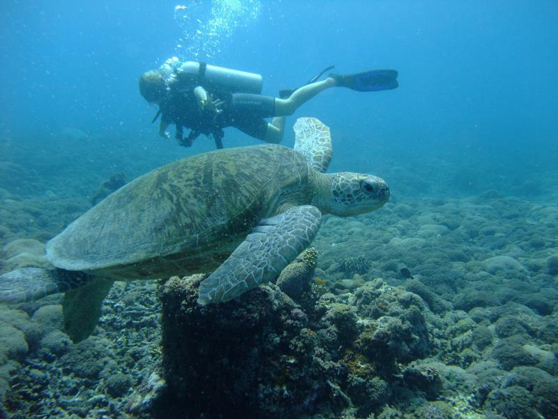 Ricel Homestay Gili Trawangan Kültér fotó